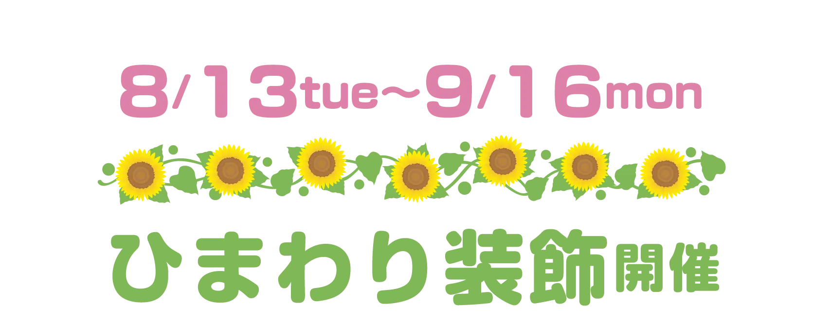 8/13tue〜9/16mon ひまわり装飾開催